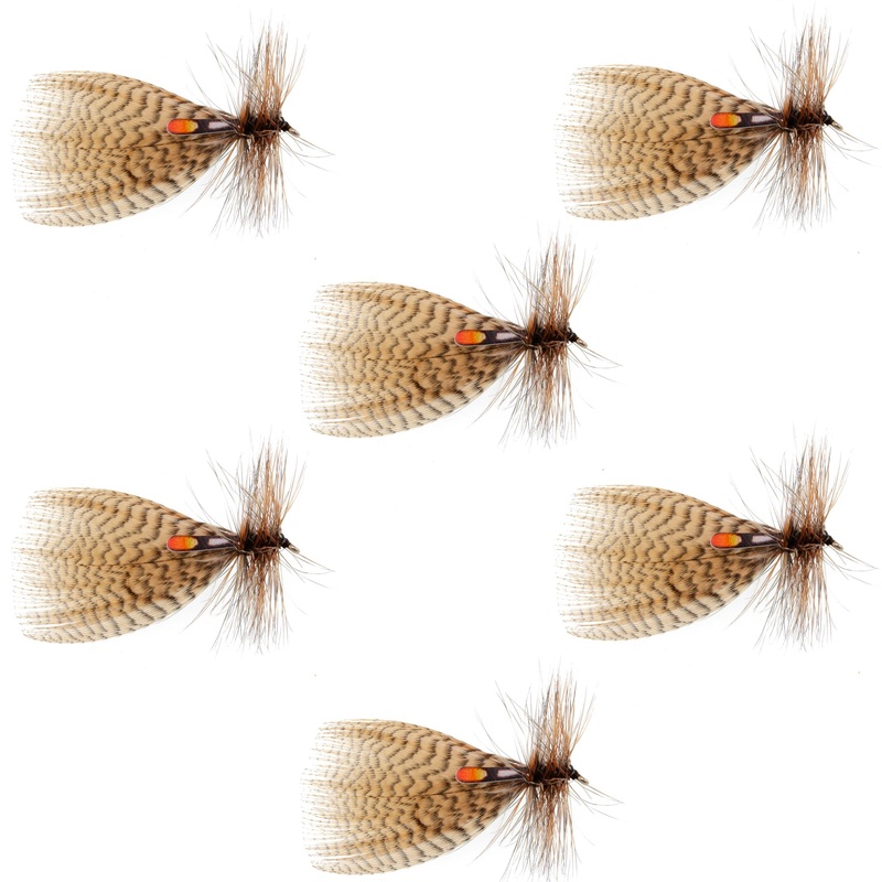 G5 Head Loc Quiver (Black 6 Arrow)