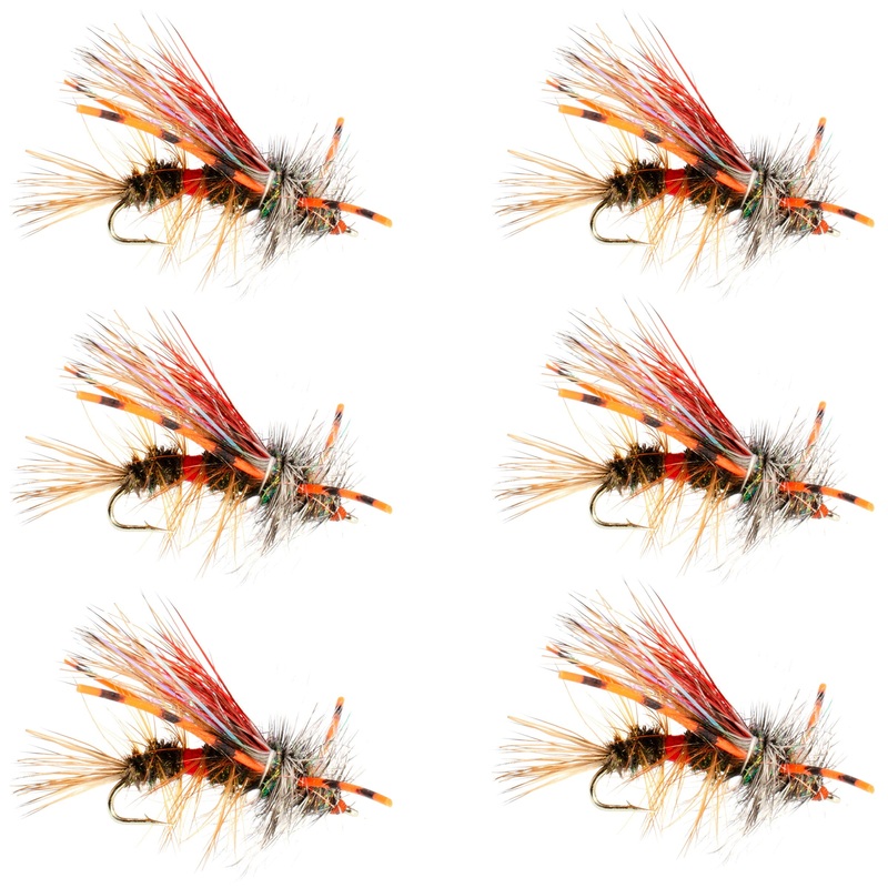 Buckeye Spot Remover Pro Model